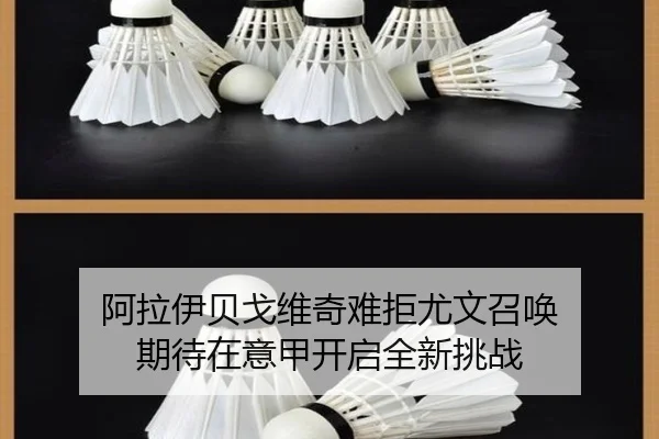阿拉伊贝戈维奇难拒尤文召唤 期待在意甲开启全新挑战 - bwty